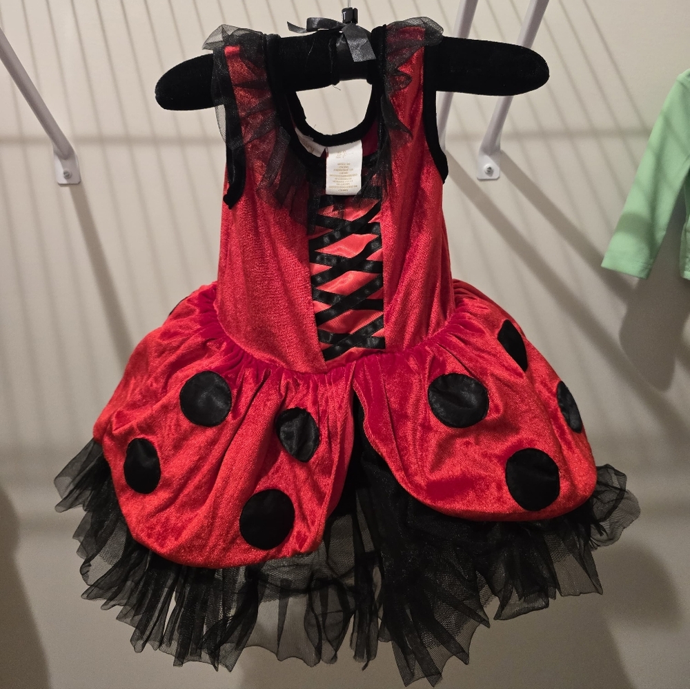 Ladybug Kids Costume